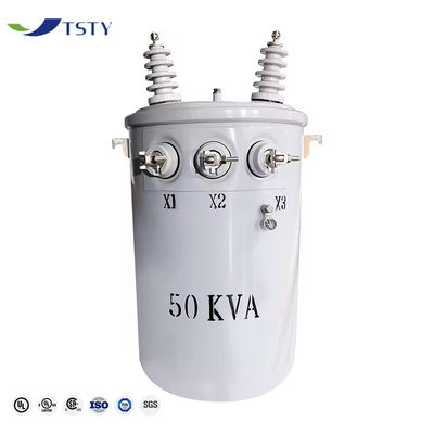 14.4kv Έκδοση τάσης 100kva Μονόφασσιος μετασχηματιστής χαμηλής απώλειας για βιομηχανικές ανάγκες