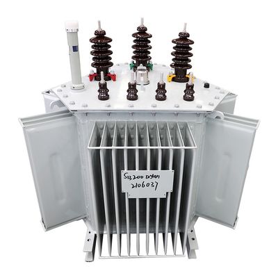 300 kva 3 φάσης 11kv/0.4kv Ελαιογεμάτος μετασχηματιστής ισχύος 400kv με συχνότητα 50/60Hz